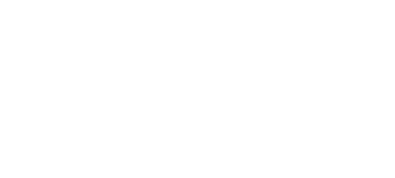 Carlution by everyco